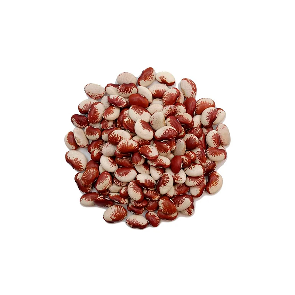 Fava Rajada – 1Kg – Armazém Nordestino