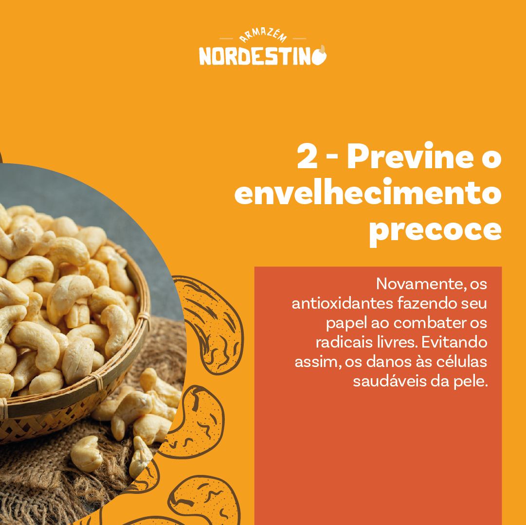 castanha de caju1 (1)