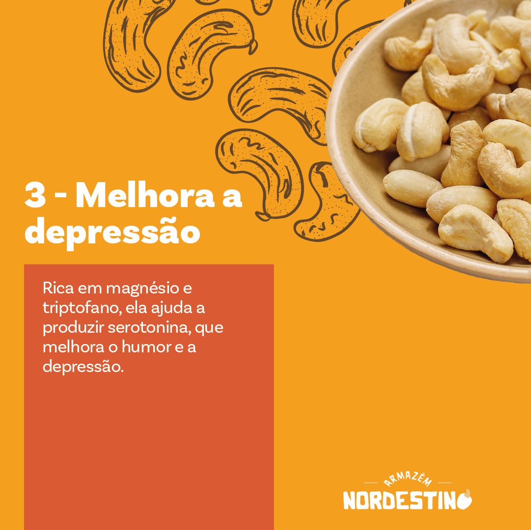 castanha de caju2