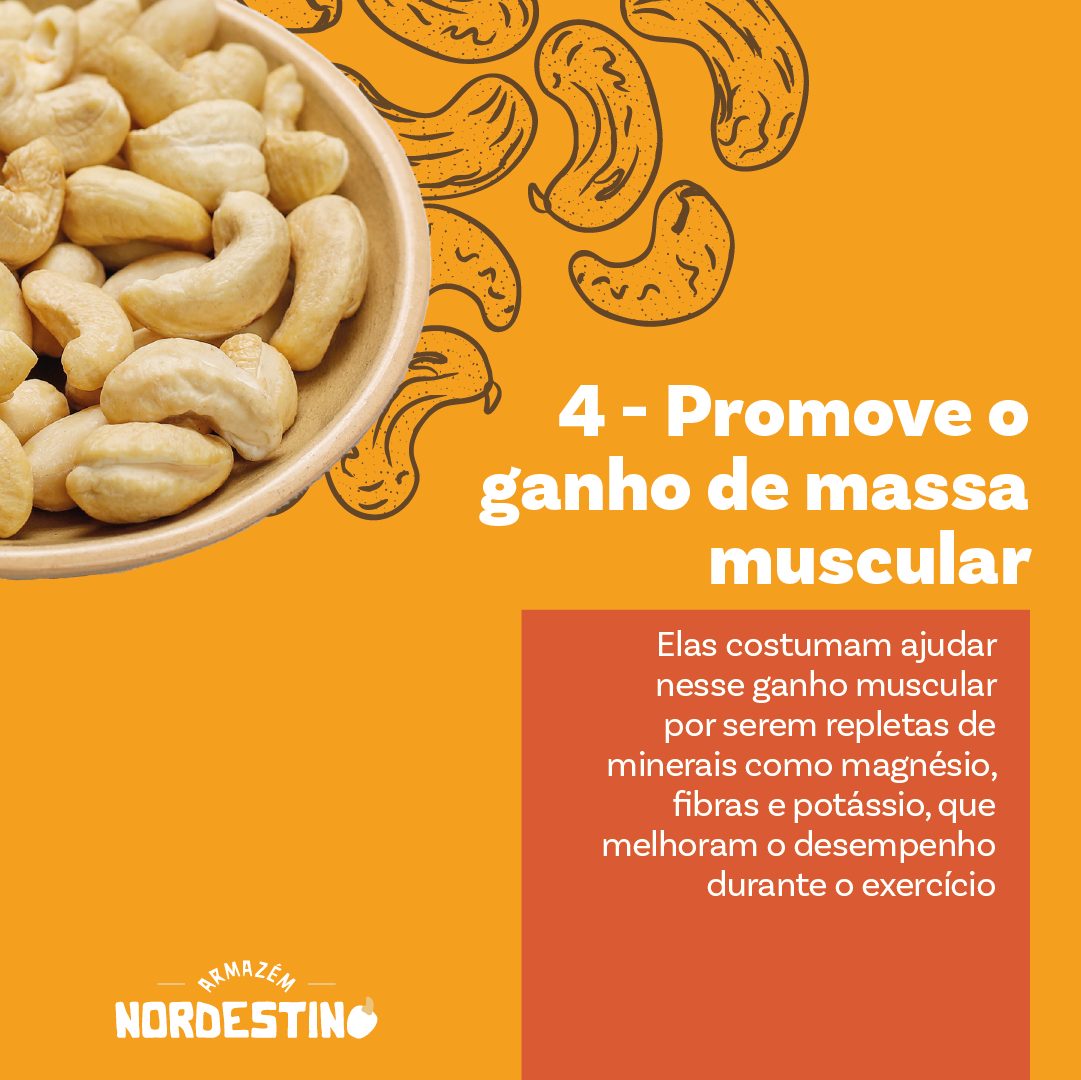 castanha de caju3