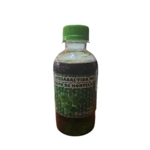 Lambedor Hortelã 280g