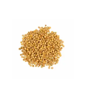 Pimenta Branca em Grão - 100g
